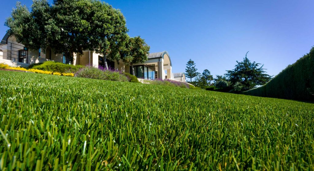 residential artificial grass lawn