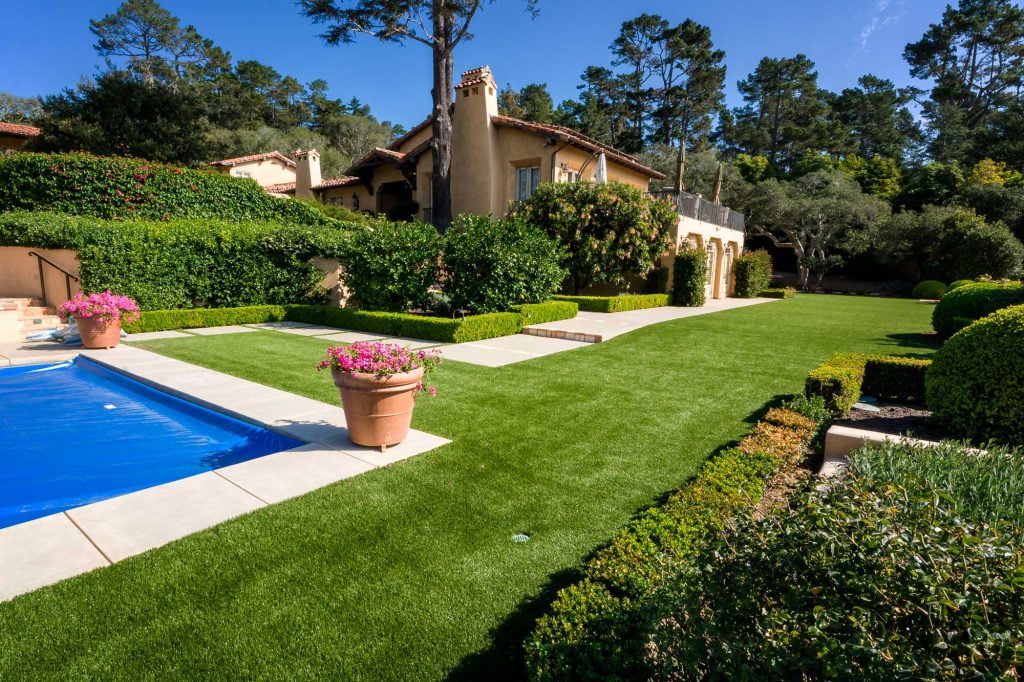 Pet Turf