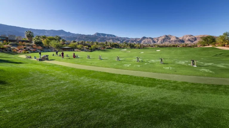 Tee Line Turf Explained: Achieving Authentic Feel and Resistance for the Perfect Swing