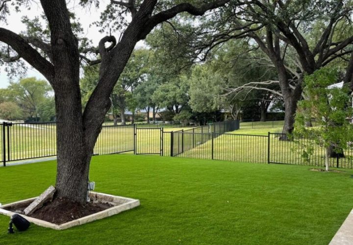 pet turf pet turf