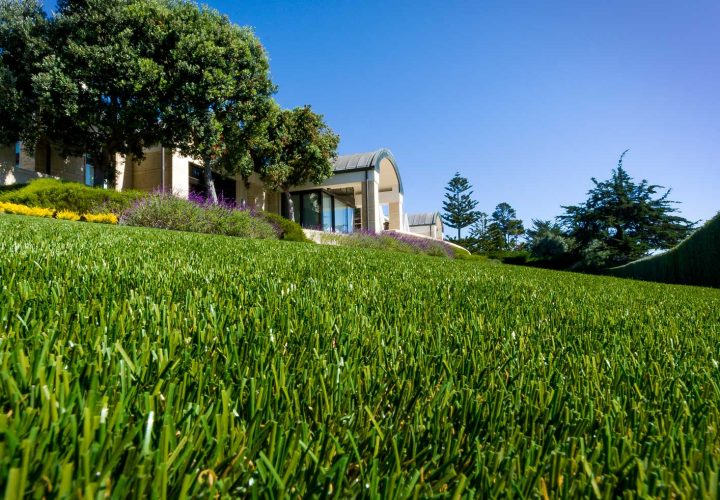 residential artificial grass lawn